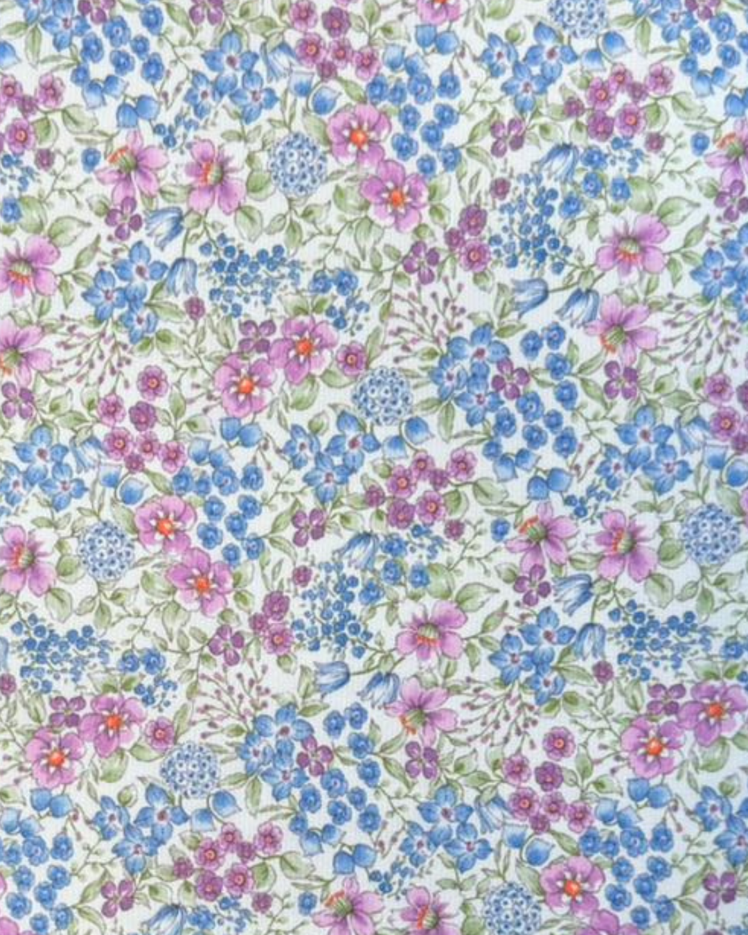 Flores Lila