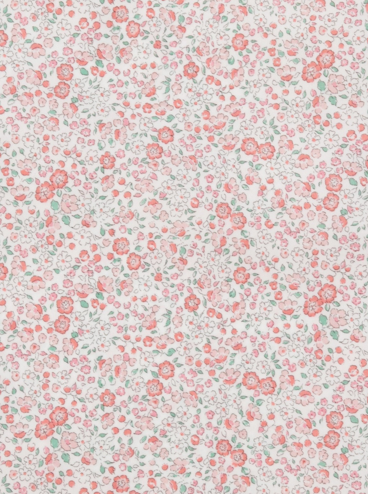 Fleurs en sachet Catalina Rosa