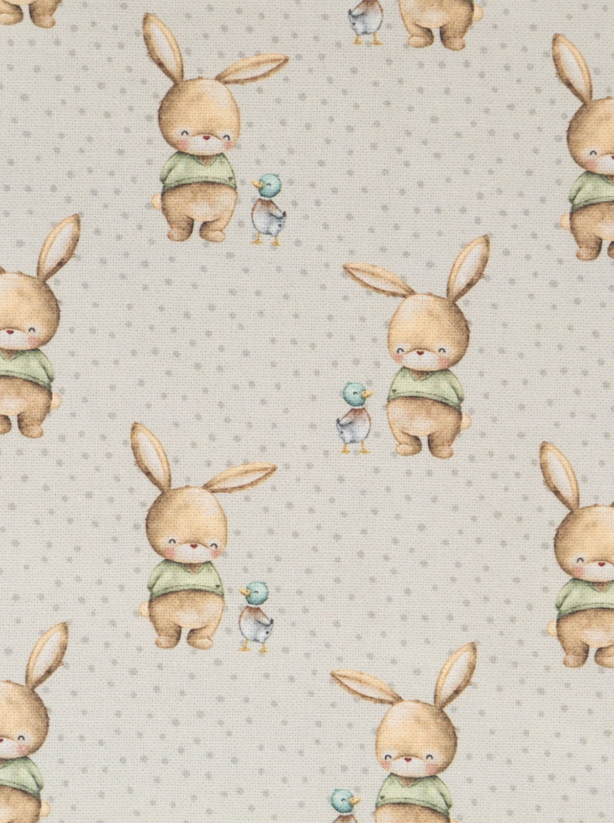 Bib with Pocket Rabbit and Duck