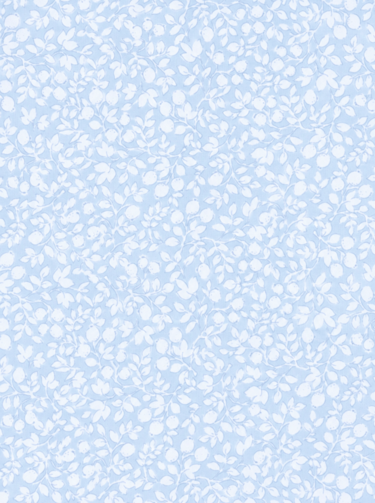 Oval Brush Pomegranates Blue