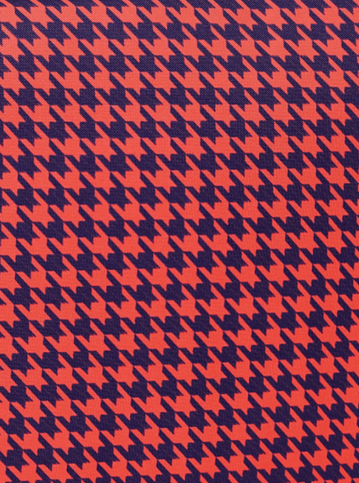 Pata de Gallo Colegio Coral