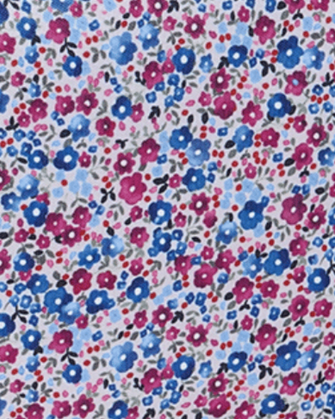 Flores Coímbra Azul
