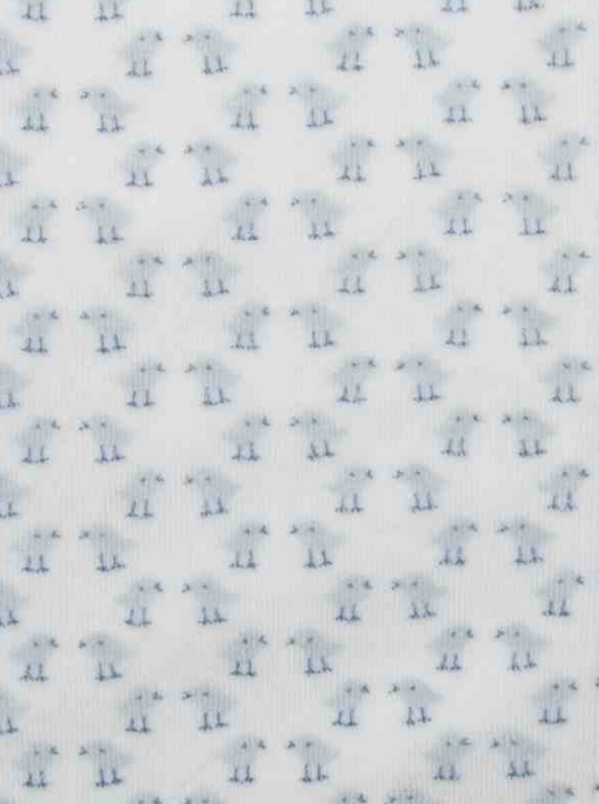 Pollitos Azul