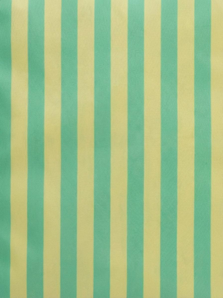 Rayas Colegio Amarillo