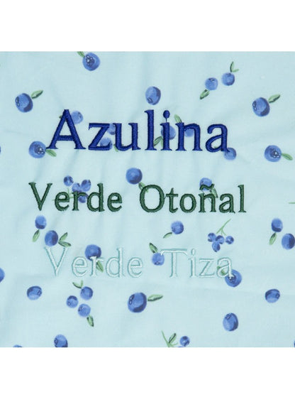 Small Bag of Blueberries