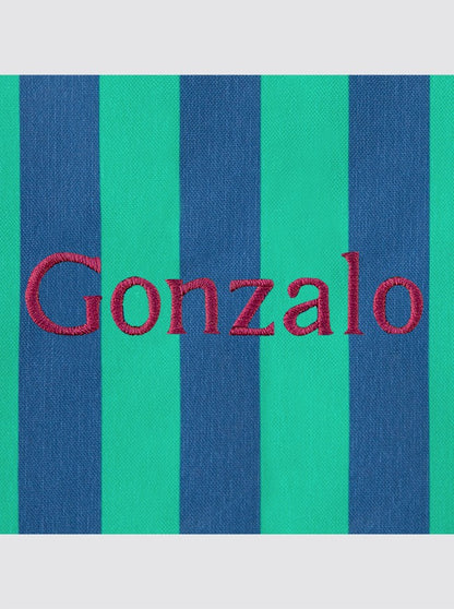 Large Striped Backpack Navy and Green