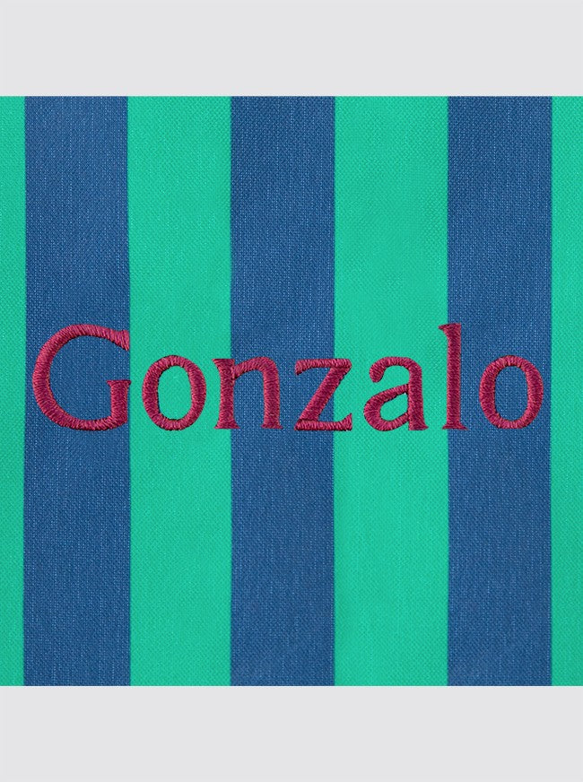 Large Striped Backpack Navy and Green